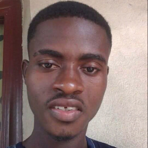 Ansa P. profile photo