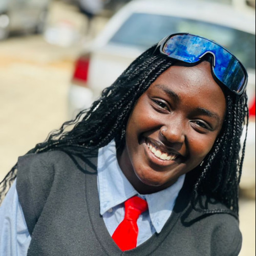 Sasa H. profile photo