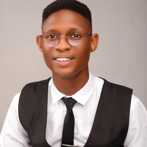 Temiloluwa  O. profile photo