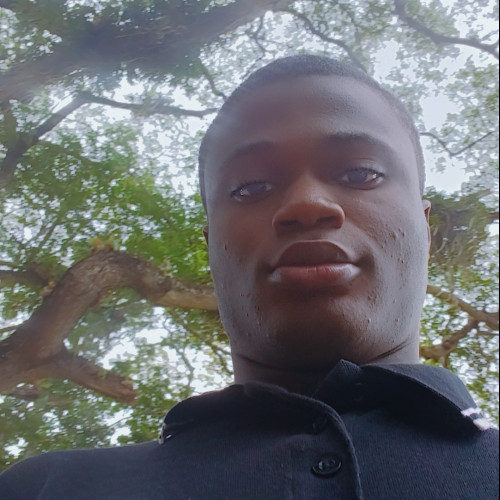 Adeoye  M. profile photo