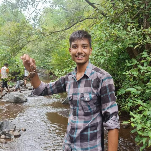 Niraj P. profile photo