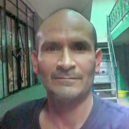 Wichadi65 C.
