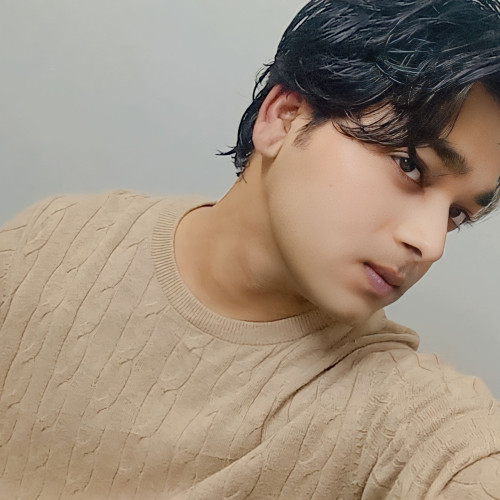 Ankit  S. profile photo