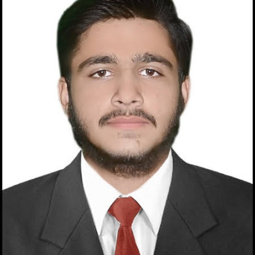 Ali H.