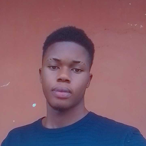 ugochukwu T. profile photo