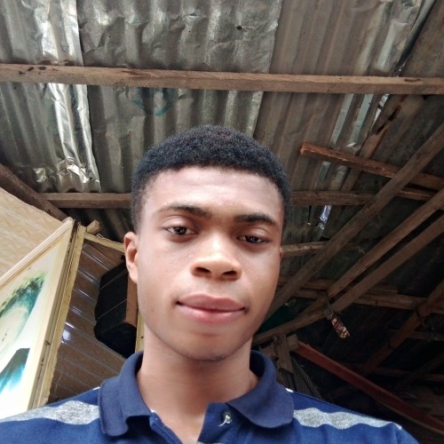 Ifeanyi  O. profile photo