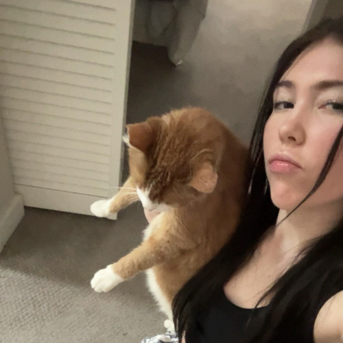Bella  N. profile photo