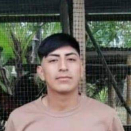 Alexis V. profile photo