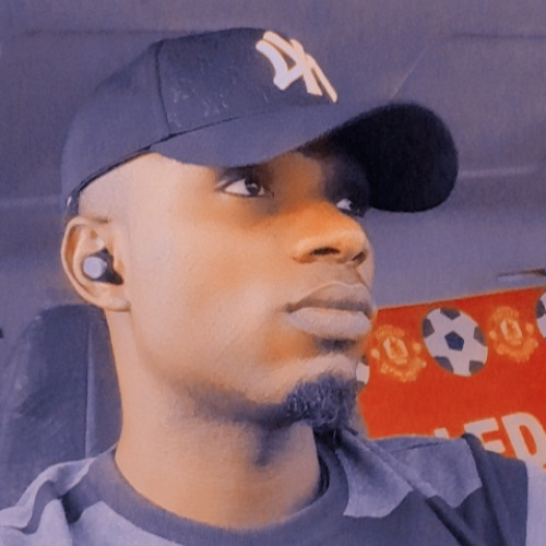 Olatunde  I. profile photo