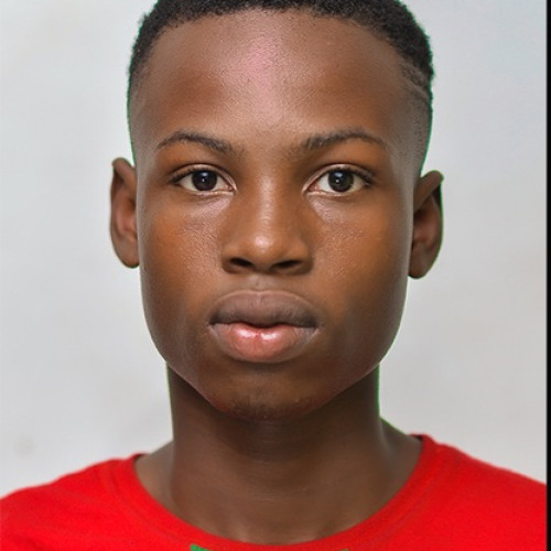 Oladele  B. profile photo