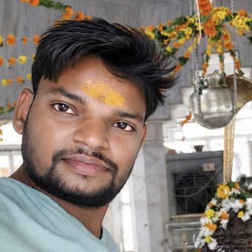 Pratap N. profile photo