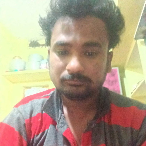 venkateswaralu p.