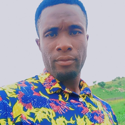 David I. profile photo