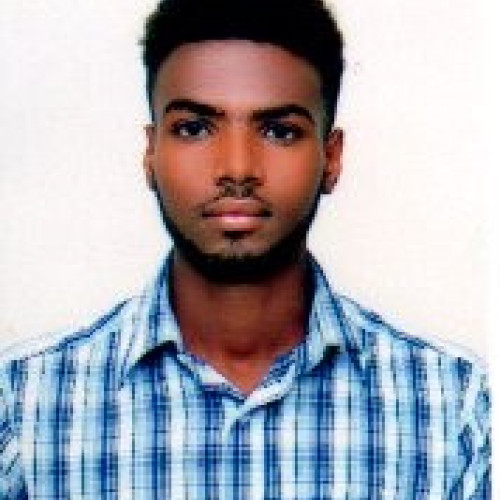 Daniel M. profile photo