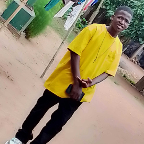 Temidayo I. profile photo