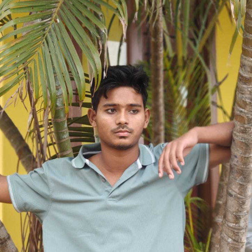 Rofidul A. profile photo