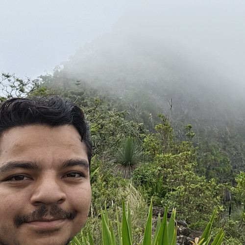 Hardik P. profile photo