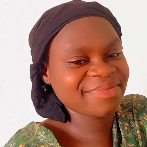 Ibitokun s. profile photo