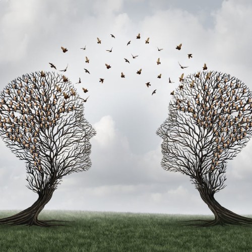 hamza a. profile photo