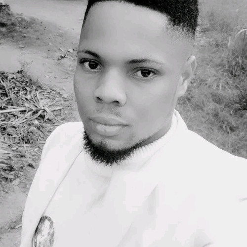 Dominique  N. profile photo