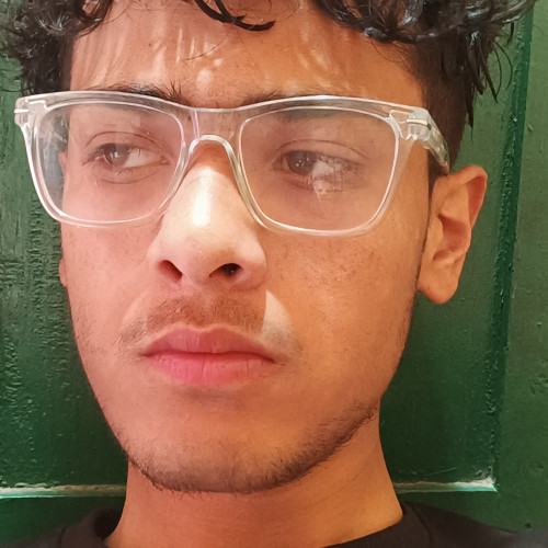 Ankit D.