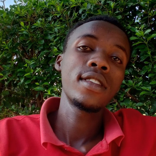 peter n. profile photo