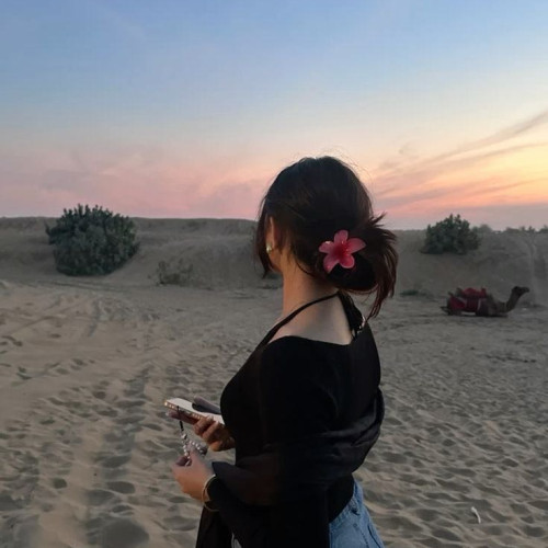 Toasty T. profile photo