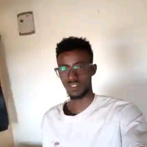 Ali S. profile photo