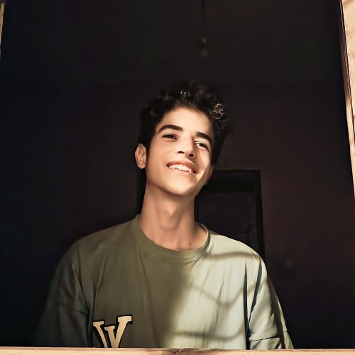 Hamza Z. profile photo