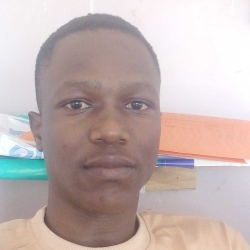 David L. profile photo