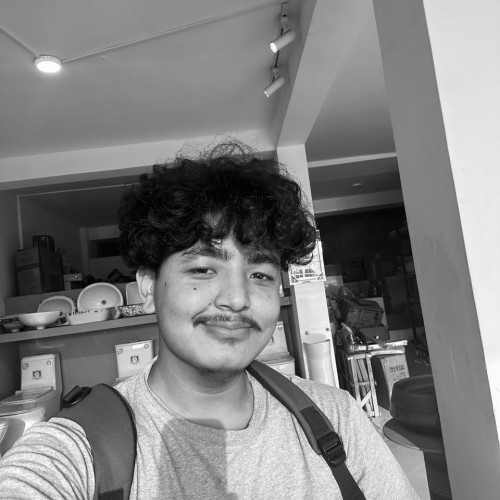 Bibesh M. profile photo