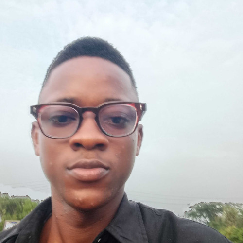 oluwasetemi D. profile photo