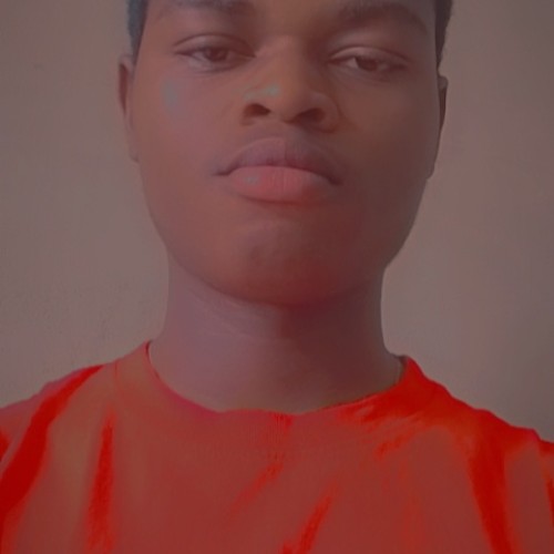 Adeniran  E. profile photo