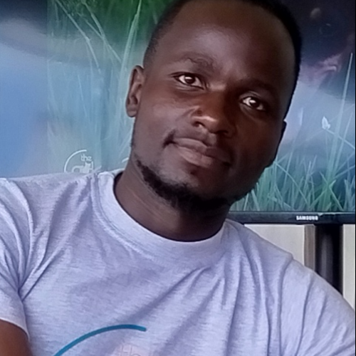 Festo A. profile photo