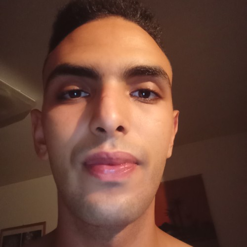 Anouar L.