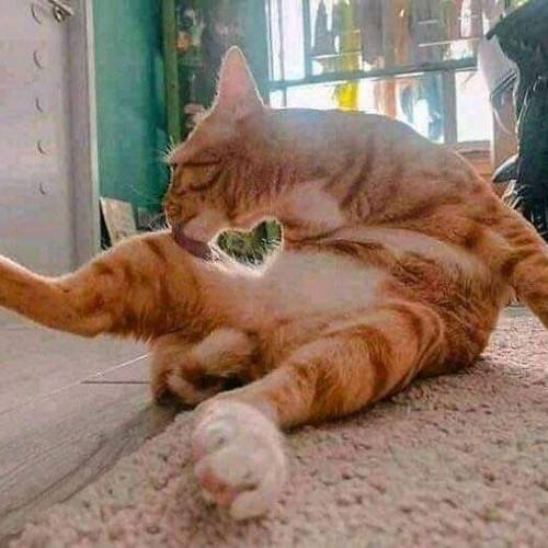 AYOUB H. profile photo