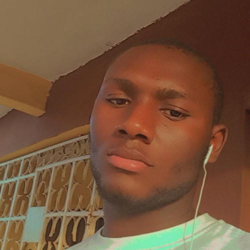 Chinedu samson  U. profile photo