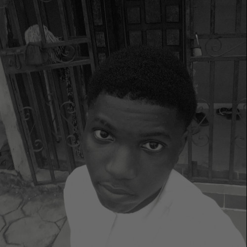Bamisaye  O. profile photo