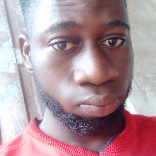Alewumi T.