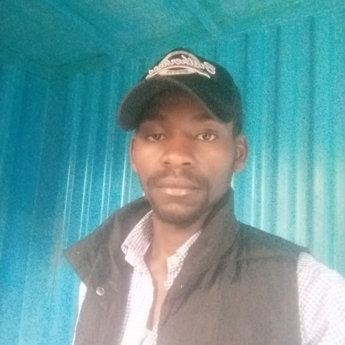 Daniel N. profile photo