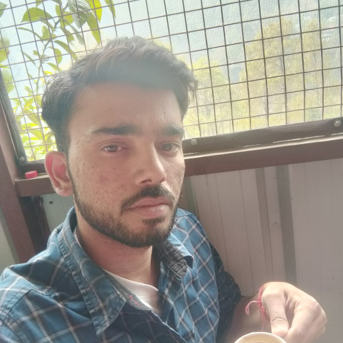 Ankit A. profile photo