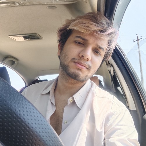 Pinaki N.
