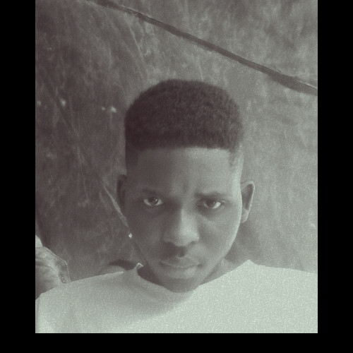 Oluwatobiloba  O. profile photo