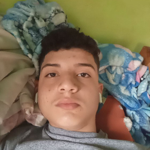 Diego D. profile photo