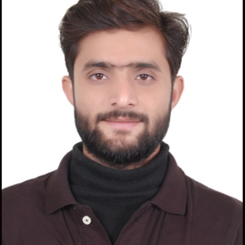 himanshu r.