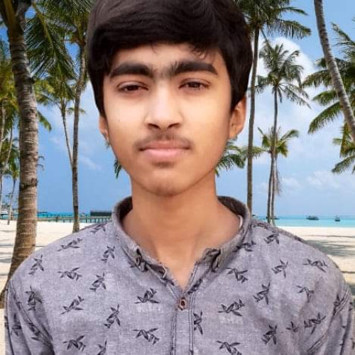 Muhammad Waleed  A. profile photo