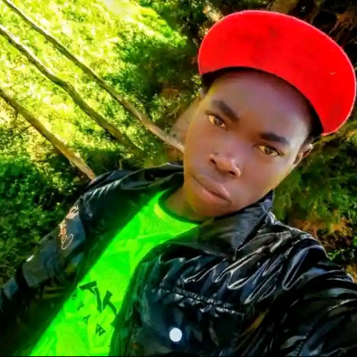 George B. profile photo