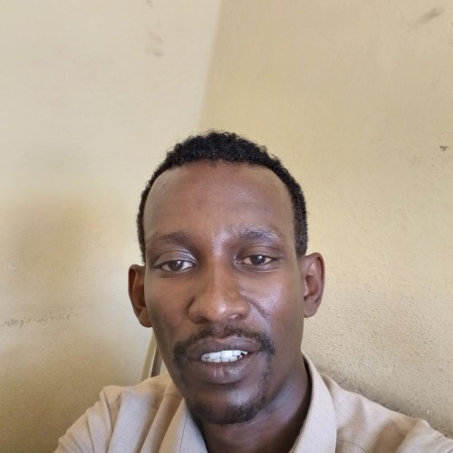 Zedo D.
