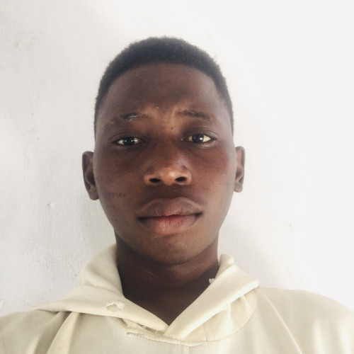 Olawale  O. profile photo