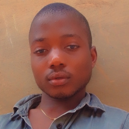 Chiemerie  V. profile photo